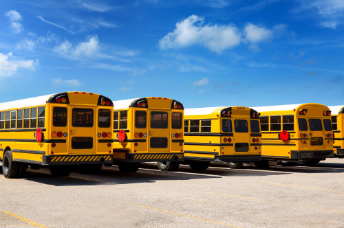 Several parked school buses with a blue sky.